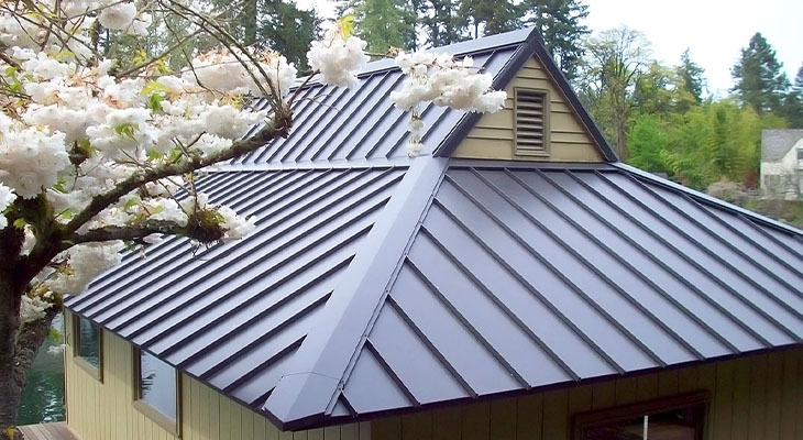 Not Every Roof You See Is Perfect For You: Why Is That?