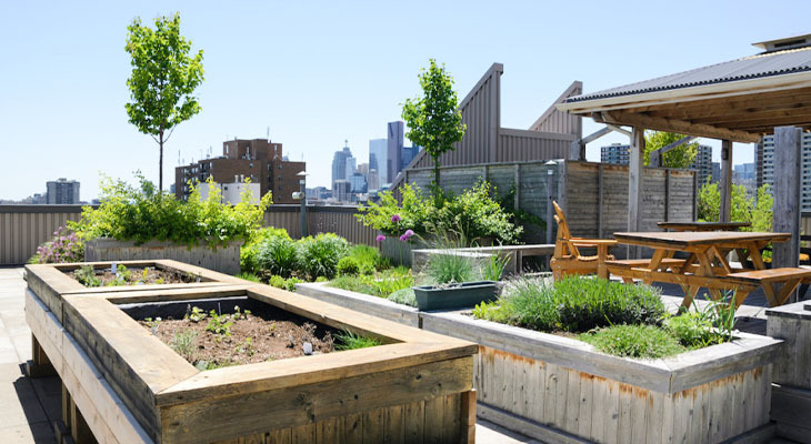 What Should You Know About Metal Rooftop Gardening